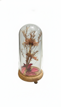Dried Flower In Glass Bottle Handmade Sunflower MicroLandscape