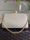 Women Gold Silver Shimmer Clutch